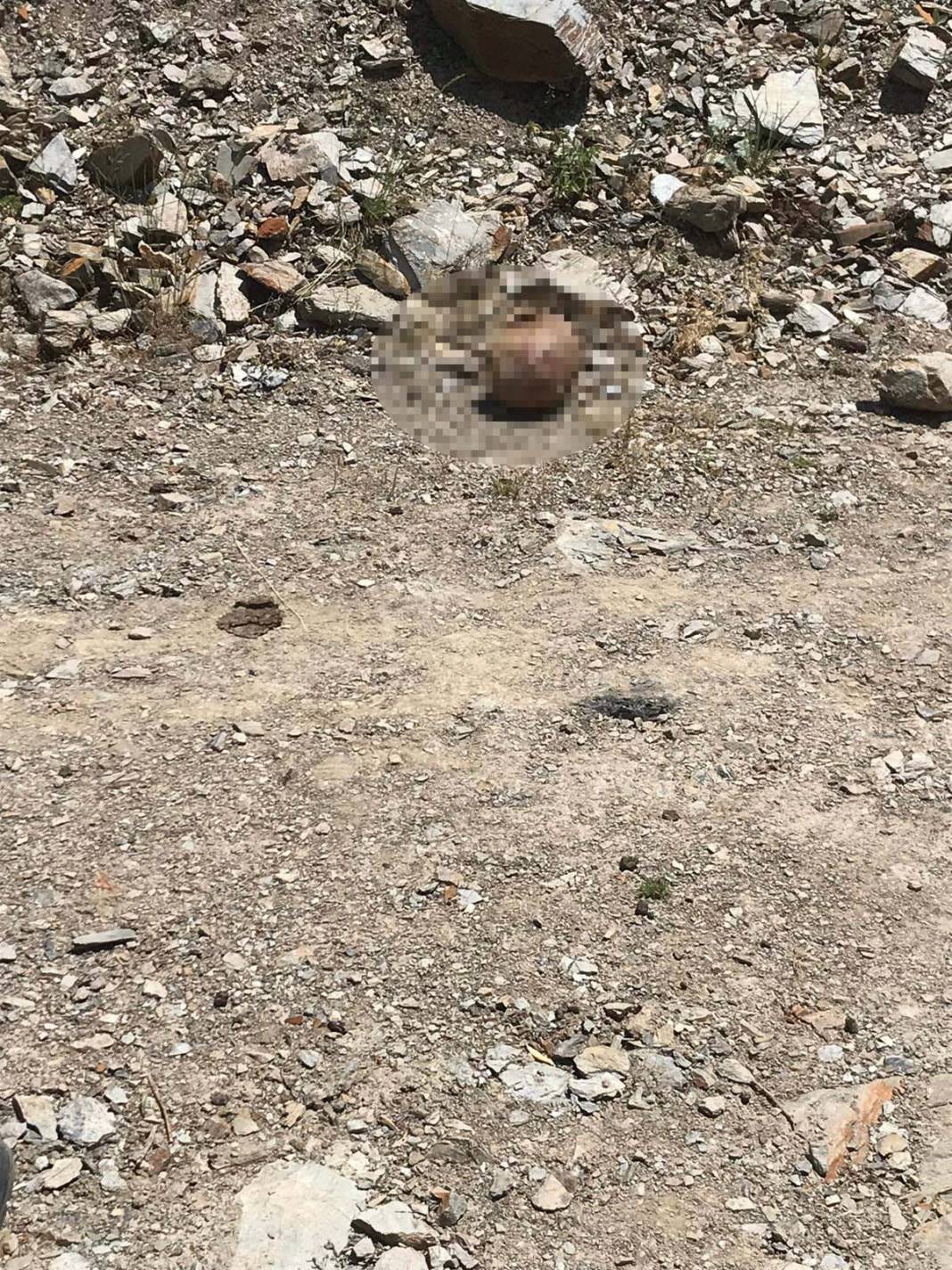 Cinayet Müge Anlı’da çözüldü, Mehmet Tural’ın ceset parçaları Konya’da bulundu 3